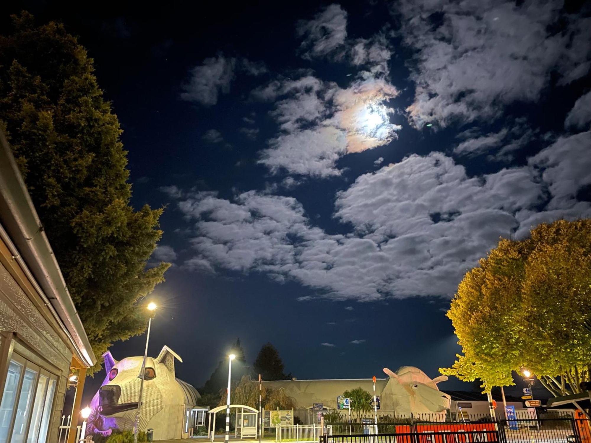 Tirau Motor Inn Exterior foto